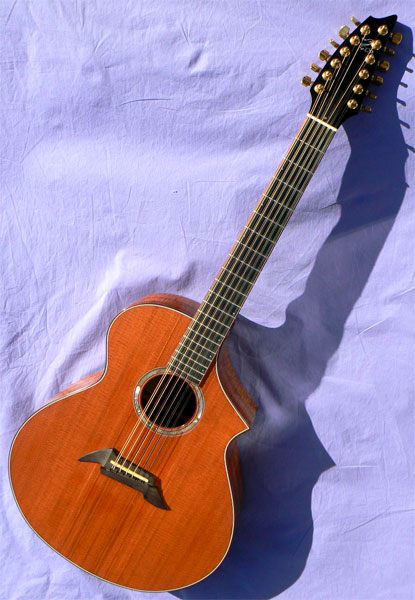 breedlove 12 string guitar